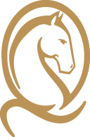 Saddle4health Logo